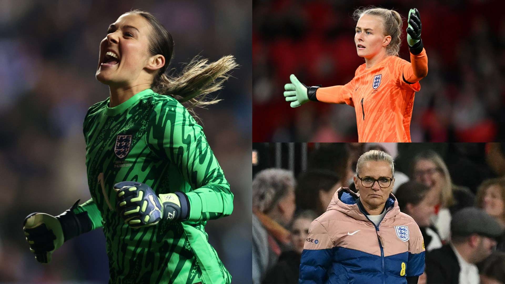 的世界里 的世界里