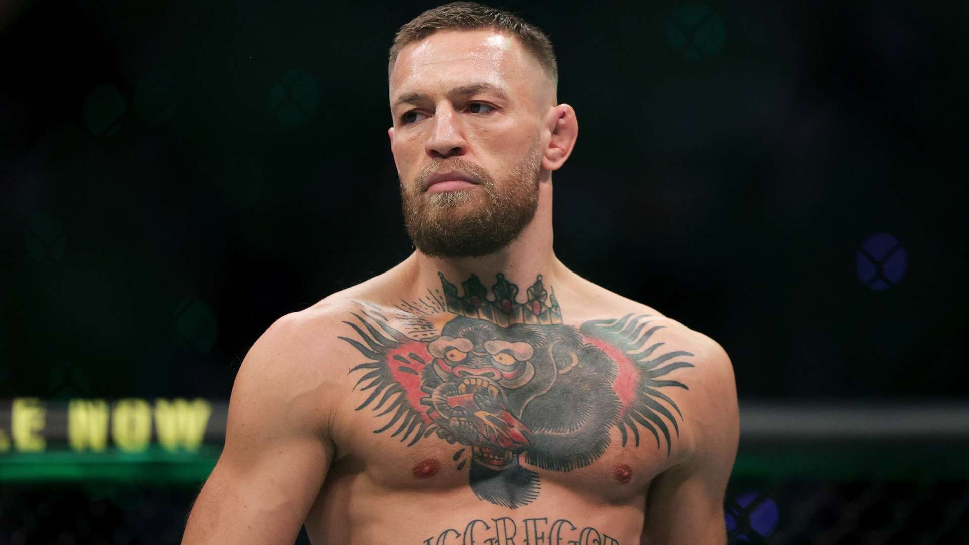 西班牙自上 西班牙自上