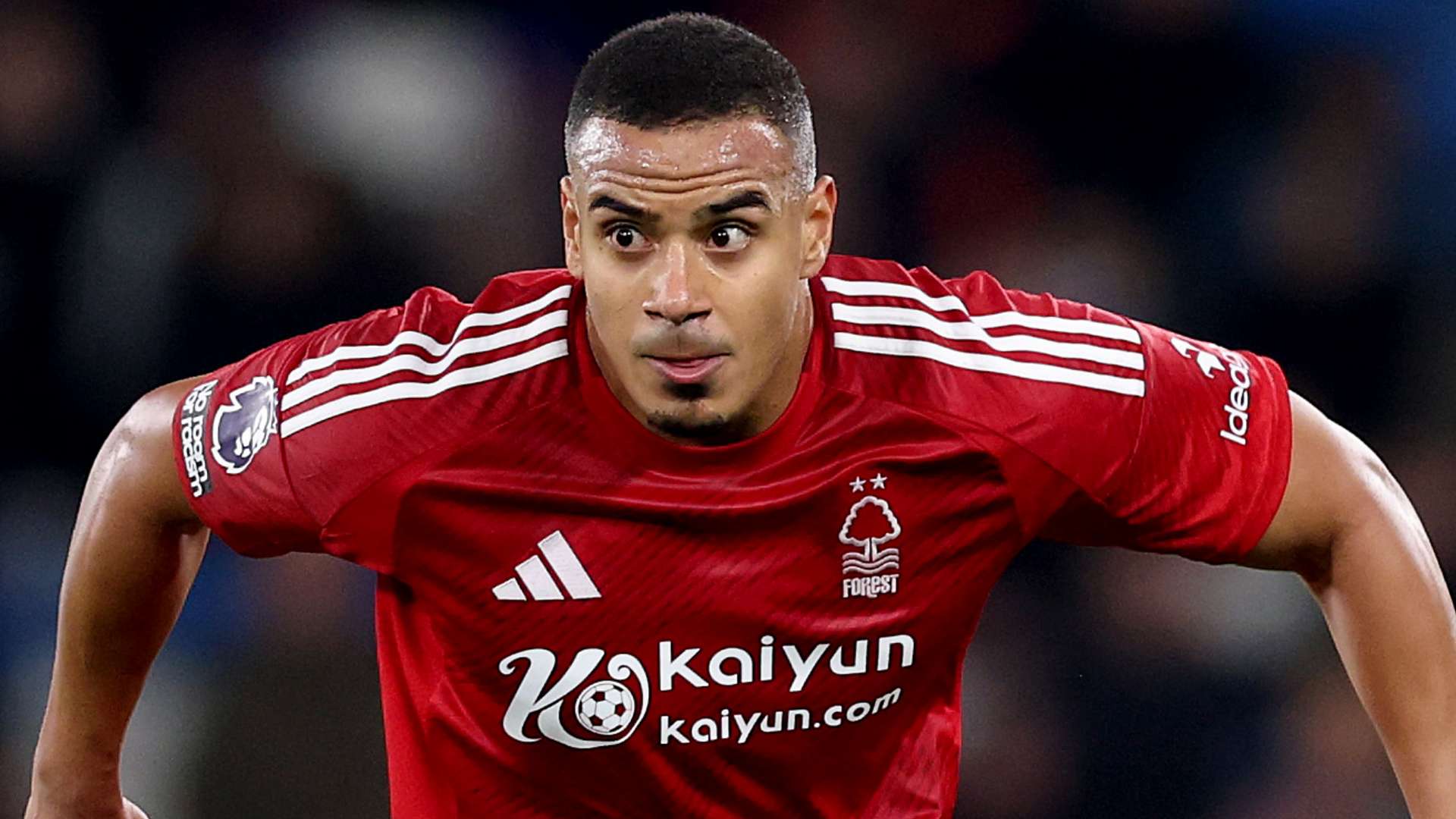 以及与体育 以及与体育